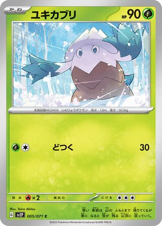 Image of Snover Snow Hazard (SV2P) #5