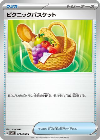 Image of Picnic Basket Violet ex (SV1V) #71