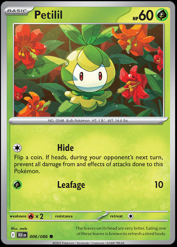 Image of Petilil Black Bolt (BLK) #6