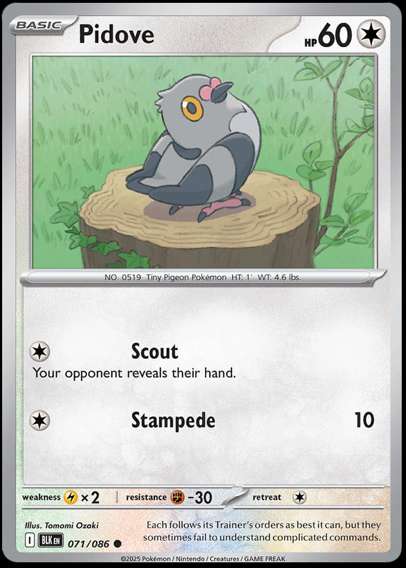 Image of Pidove Black Bolt (BLK) #71