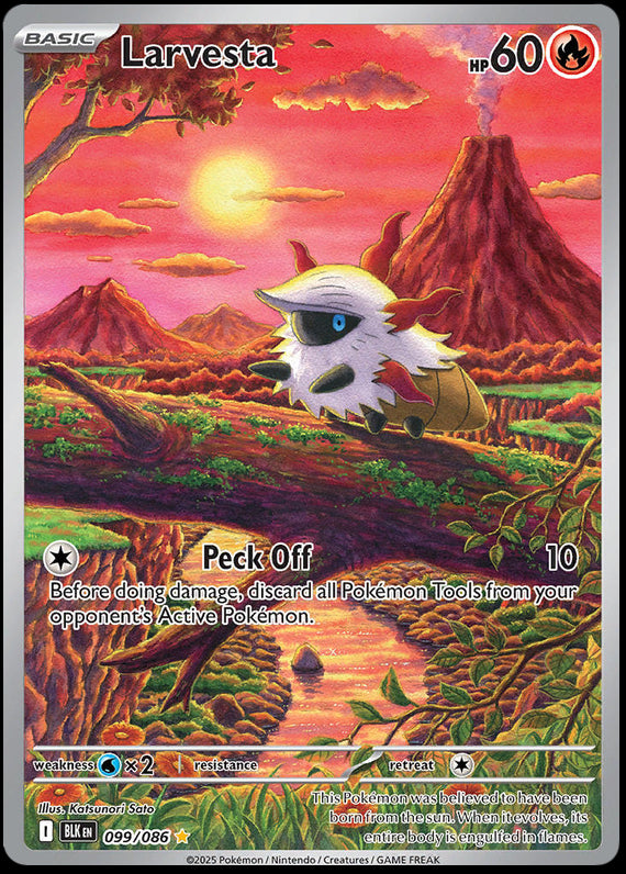 Image of Larvesta Black Bolt (BLK) #99