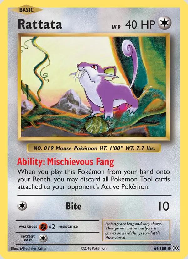 Image of Rattata Evolutions (EVO) #66