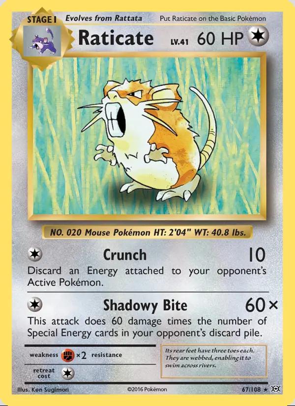 Image of Raticate Evolutions (EVO) #67