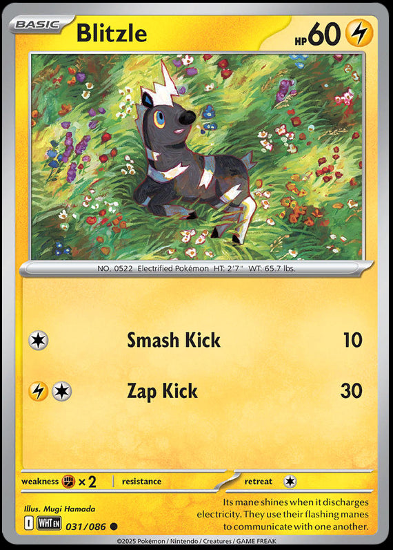 Image of Blitzle White Flare (WHT) #31