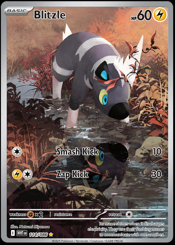 Image of Blitzle White Flare (WHT) #114