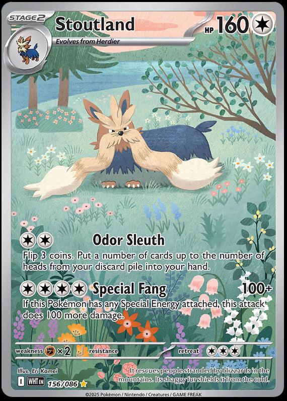 Image of Stoutland White Flare (WHT) #156