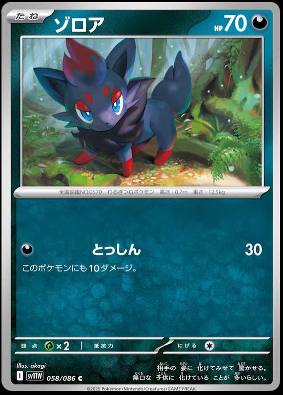 Image of Zorua White Flare (sv11w) #58