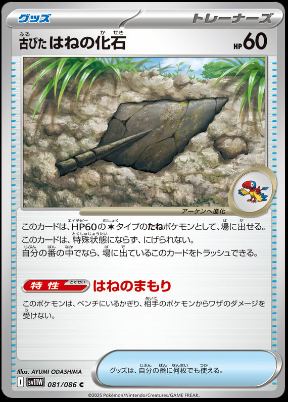 Image of Antique Plume Fossil White Flare (sv11w) #81